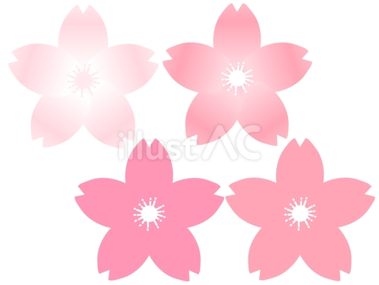 桜の花⑦ 桜,さくら,花のイラスト素材