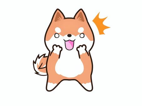 驚く柴犬 柴犬,犬,動物,赤柴,イヌのイラスト素材