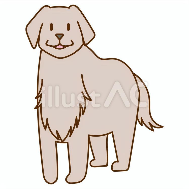 ゴールデンレトリバーイラスト No 無料イラストなら イラストac