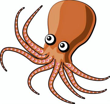 タコ　 タコ,軟体動物,足,吸盤,海,生物,食材,リアル,線画のイラスト素材