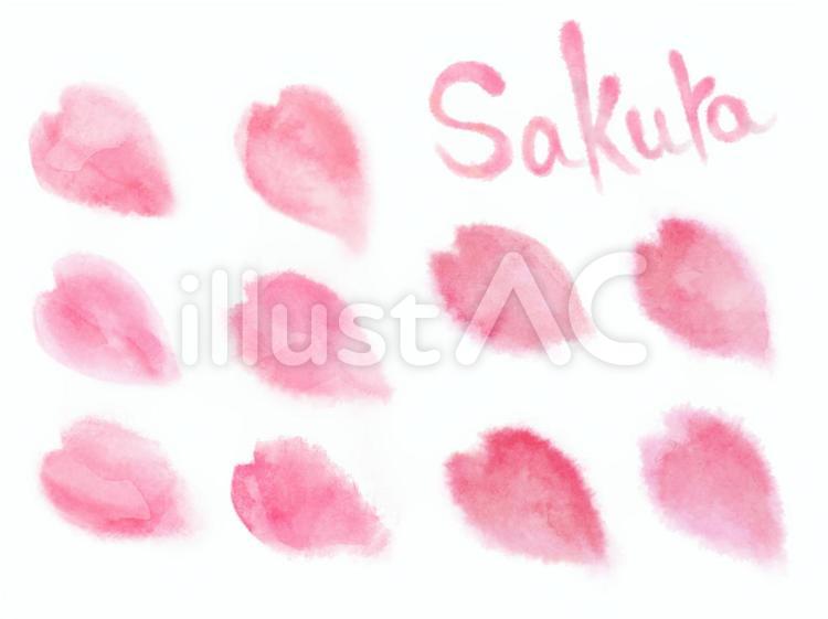 【春】桜の花びら【手描き】 桜,花,春のイラスト素材