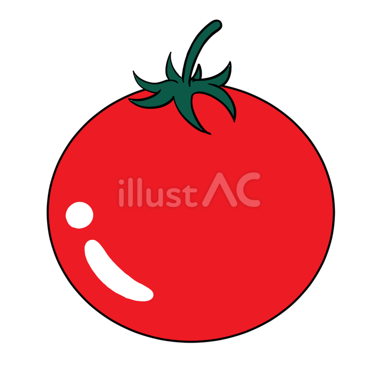 トマト　 トマト,赤色,野菜のイラスト素材