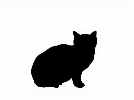猫。。 猫,可愛い,ペット,鳴く,シルエット,動物のイラスト素材