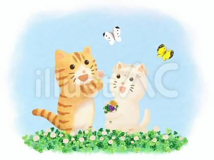 白詰草畑の猫
