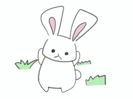 うさぎ うさぎ,動物,ウサギ,シンプル,アニマルのイラスト素材