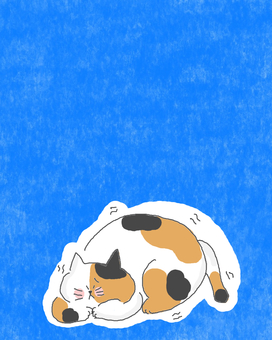 震える三毛猫ちゃん 三毛猫,かわいい,怖い,恐怖,寒い,警戒,震える,困る,臆病,小心者のイラスト素材