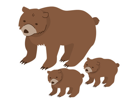 ヒグマの親子3頭 熊,ヒグマ,親子,母熊,子熊,野生,3頭,子育て中,危険,凶暴のイラスト素材