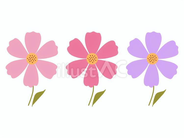 コスモス　シンプル コスモス,花,植物のイラスト素材
