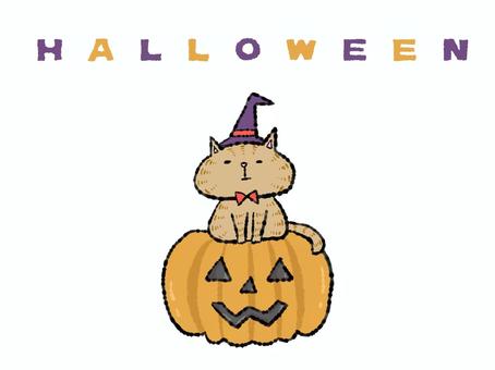 ハロウィン魔女ニャンコ（茶トラ） ハロウィン,秋,10月31日,お祭り,イベント,パーティー,仮装,かぼちゃ,ジャックオランタン,お化けのイラスト素材