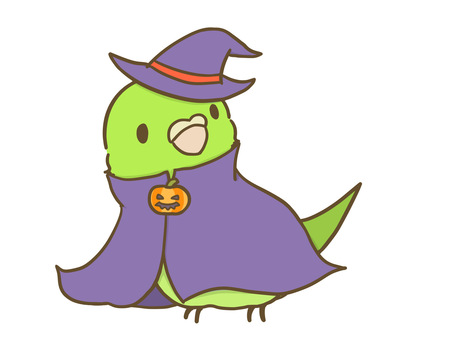 マントを羽織ったマメルリハ_緑 ハロウィン,ハロウィーン,マメルリハ,マント,コスプレ,帽子,かぼちゃ,ジャックオランタン,鳥,インコのイラスト素材