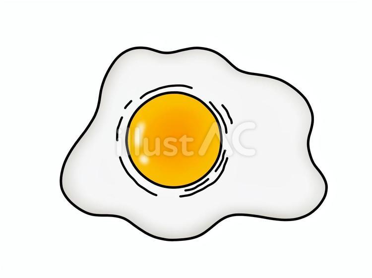 真上から見た目玉焼き 玉子,目玉焼き,鶏卵のイラスト素材