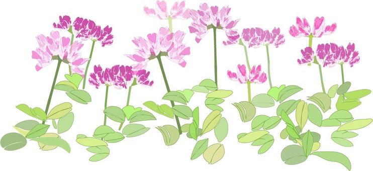 黃芪花艾是, JPG, PNG 和 AI 黃芪花艾是, 黃芪, 春天, 群居, JPG, PNG 和 AI