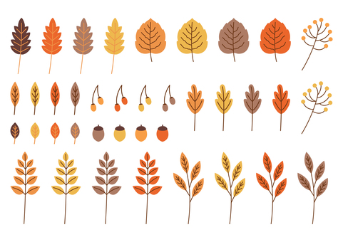 秋の葉のイラスト素材セット 秋,紅葉,葉っぱ,葉,落ち葉,枯れ葉,自然,どんぐり,木の実,ドングリのイラスト素材