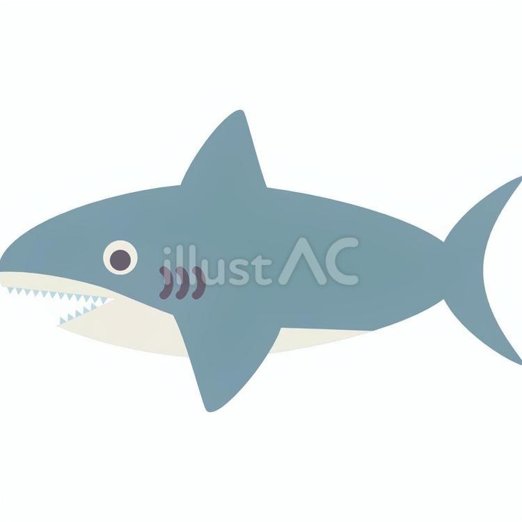 【そのまま使える】鮫 サメ,鮫,生き物のイラスト素材