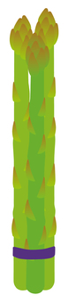 Illustration, asparagus, green, bundle, 