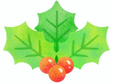 ヒイラギ 柊,クリスマス,冬,12月,植物,イベント,年末,年中行事,季節,行事のイラスト素材