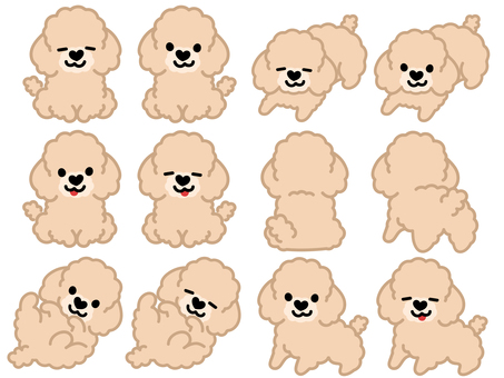 ハート鼻のプードル（セット）2 プードル,トイプードル,犬,動物,ハート,鼻,おすわり,ふせ,立つ,ゴロンのイラスト素材