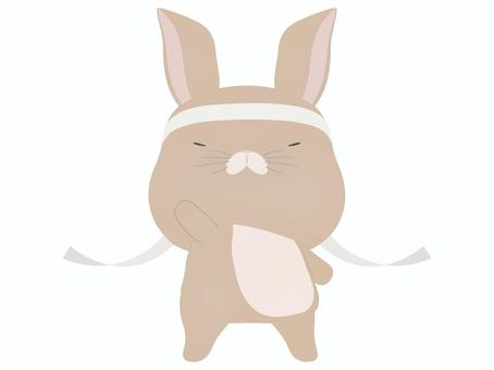 応援_兎 応援,うさぎ,動物,かわいい,鉢巻のイラスト素材
