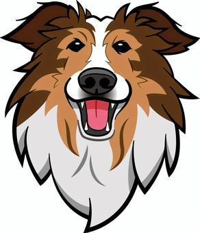 Shetland Sheepdog, JPG, PNG and AI Shetland Sheepdog, , JPG, PNG and AI