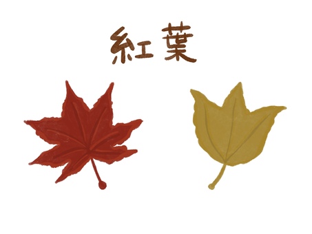 紅葉セット（モミジとカエデ） 紅葉,楓,葉っぱ,秋,秋の風景,秋の自然,秋の葉,赤,オレンジ,黄色のイラスト素材