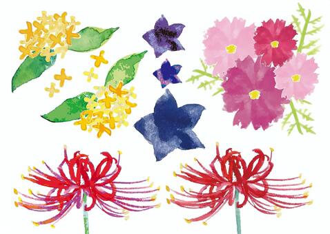 水彩の秋のお花セット キンモクセイ,金木犀,桔梗,キキョウ,コスモス,秋桜,彼岸花,リコリス,きんもくせい,花のイラスト素材