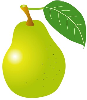 果物_洋ナシ 洋ナシ,果物,農園,畑,農家,農業のイラスト素材
