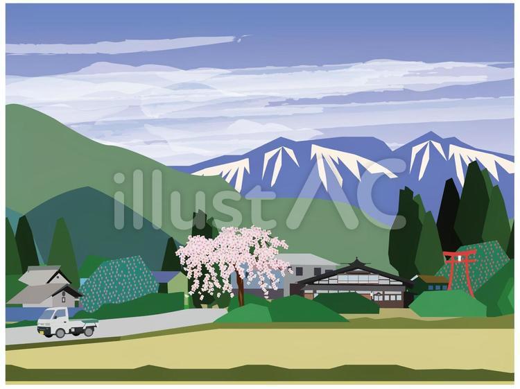 田舎の桜　雲あり 田舎,桜,家のイラスト素材