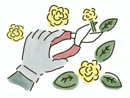 花の剪定 季節,花,剪定,バラ,ガーデニング,庭,庭仕事,春,秋,手袋のイラスト素材