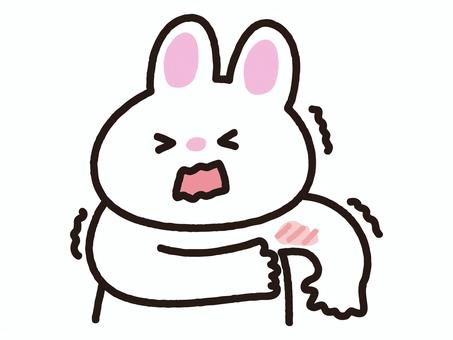 肌が痒いうさぎ うさぎ,動物,肌,トラブル,痒い,アトピー,湿疹,辛い,病気,我慢のイラスト素材