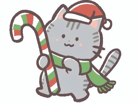 冬のクリスマスのキャンディケインを持つ猫