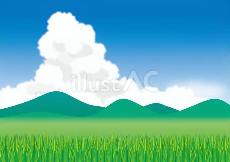 夏雲と水田 夏,入道雲,青空のイラスト素材