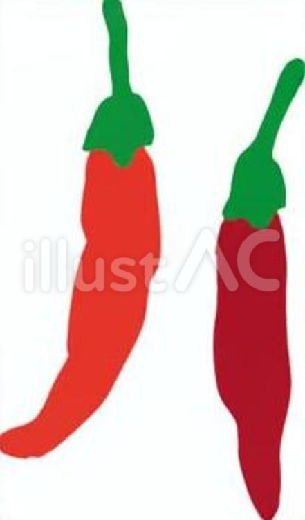 とうがらし とうがらし,カラー,野菜のイラスト素材