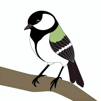 色々な鳥（シジュウカラ） シジュウカラ,四十雀,オス,小鳥,白黒のイラスト素材