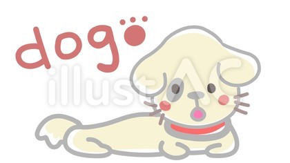 犬