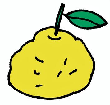 ゆず ゆず,果物,フルーツ,柑橘,植物,実,香り,果実,黄色,冬至のイラスト素材