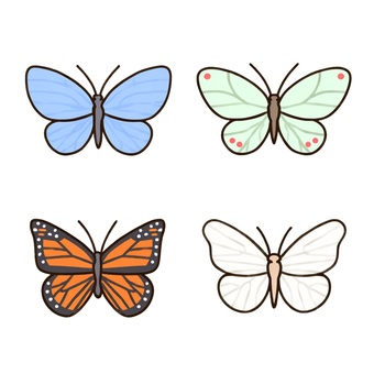 カラフルな蝶のアイコンセット