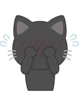 黒猫恥ずかしい 黒猫,恥ずかしい,赤面,汗,ネコ,キャット,動物,黒,ペットのイラスト素材