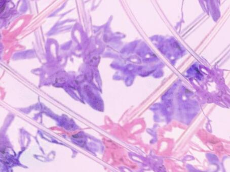 淡彩ステンドグラス-パープル06 ピンク光,淡色,透明感,ステンドグラス,グラデーション,淡彩,風,空気感,ノスタルジック,背景のイラスト素材