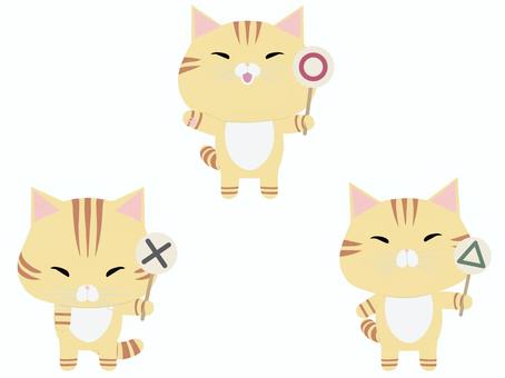 プラカード_猫 札,猫,ちゃとら,セット,まる,ばつ,三角,動物,かわいい,プラカードのイラスト素材