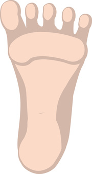 裸足　 裸足,裏,人物,指,踵,土踏まず,体,パーツのイラスト素材