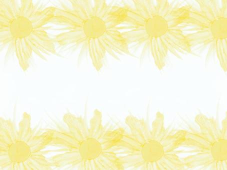 黄色の花で上下を囲んだ水彩風フレーム背景 黄色,花,背景,テンプレート,デザイン,装飾,明るい,柔らかい,フレーム,ボタニカルのイラスト素材
