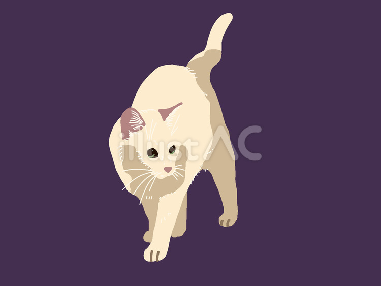 立ち止まるクリームネコ ネコ,かわいい,手描きのイラスト素材