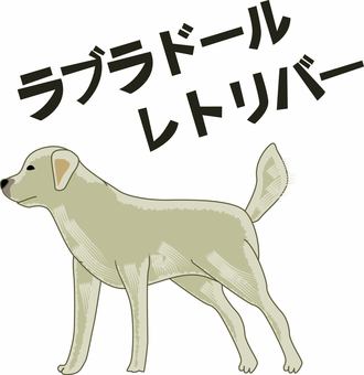 ラブラドールレトリバー ラブラドールレトリバー ラブラドールレトリバー,犬種,大型犬,ペット,横向き,かわいい,文字,線画のイラスト素材