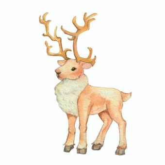 【水彩】トナカイ トナカイ,シカ,生き物,動物,角,アイコン,あしらい,ワンポイント,クリスマス,クリスマスイブのイラスト素材