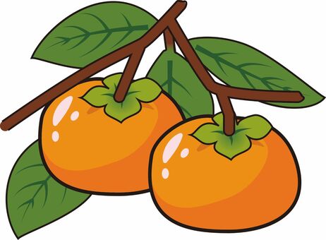 秋の味覚　柿 柿,秋の味覚,オレンジ,果実,カラフルのイラスト素材