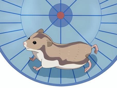 ハムスター（回し車） ジャンガリアンハムスター,ヒメキヌゲネズミ,ドワーフハムスター,ハムスター,動物,回し車のイラスト素材