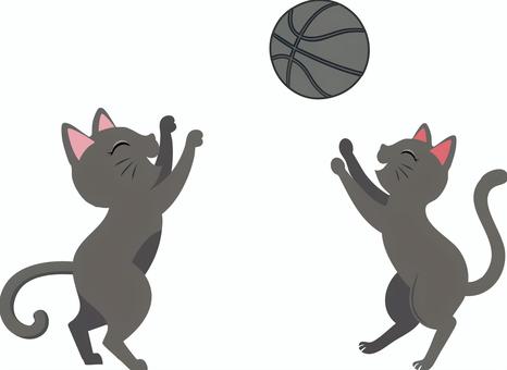 【動物】バスケをする黒猫