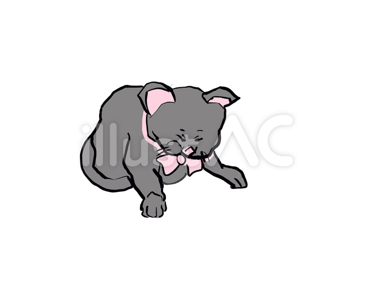 下を向く猫 猫,子猫,ペットのイラスト素材