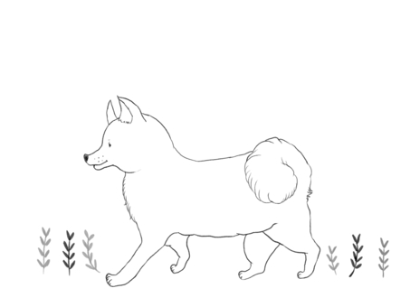 walking dog and leaves, , JPG and PNG