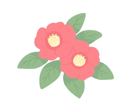 椿　冬素材 椿,冬,花,冬花,花木,植物,草花,花弁,葉,つばきのイラスト素材